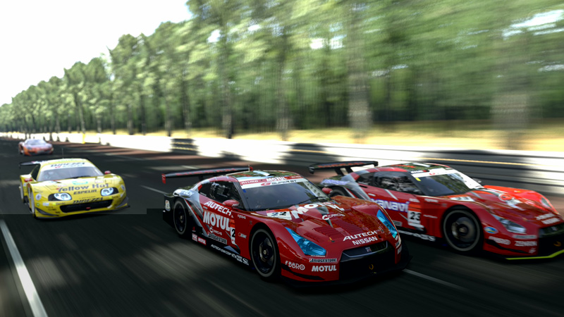 circuitdelasarthe20094.jpg