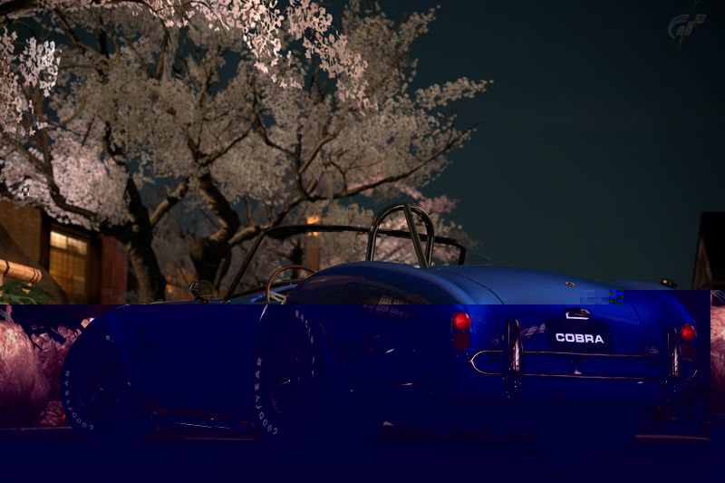 Kyoto - Gion cobra Re.jpg